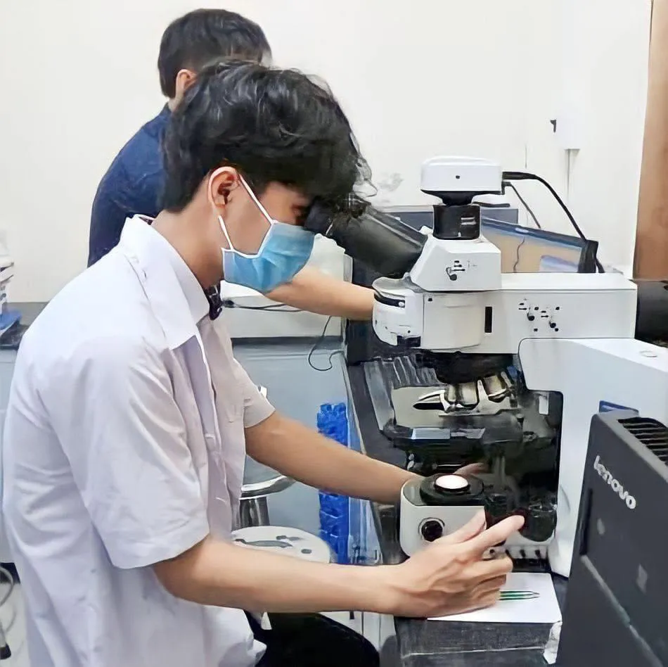 Trải nghiệm và Định hướng Nghề nghiệp